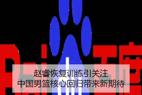 赵睿恢复训练引关注 中国男篮核心回归带来新期待