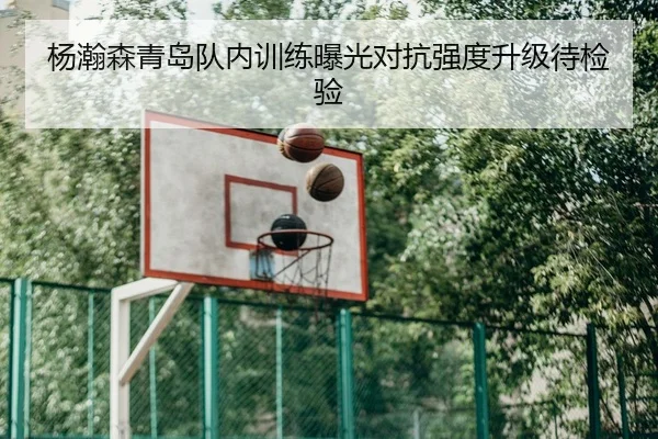 杨瀚森青岛队内训练曝光对抗强度升级待检验