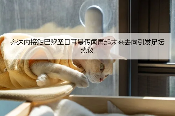 齐达内接触巴黎圣日耳曼传闻再起未来去向引发足坛热议